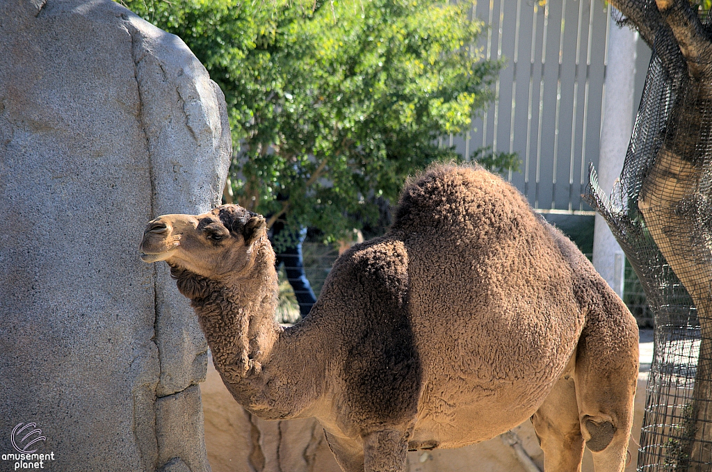 San Diego Zoo