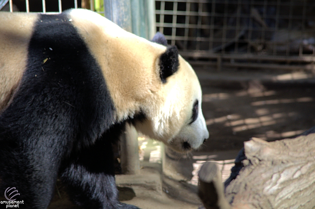 San Diego Zoo