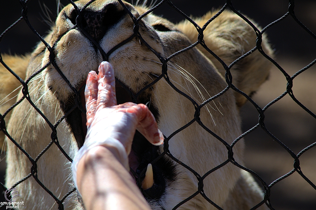 San Diego Zoo