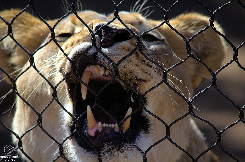 San Diego Zoo