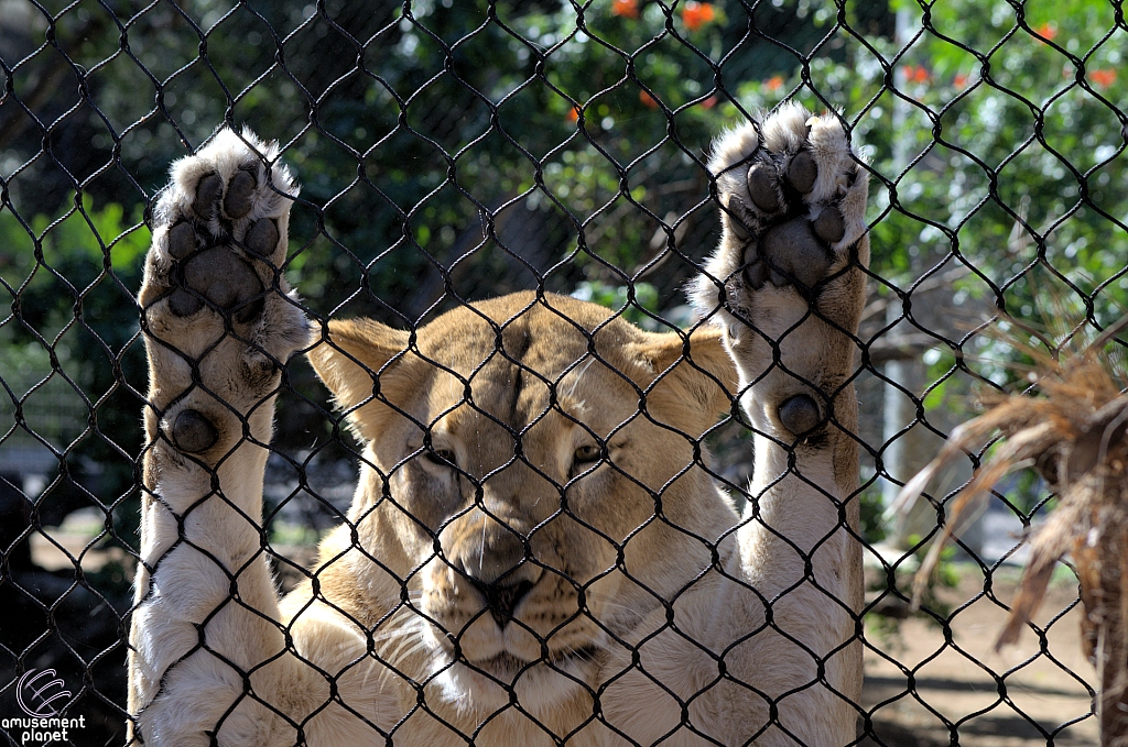 San Diego Zoo
