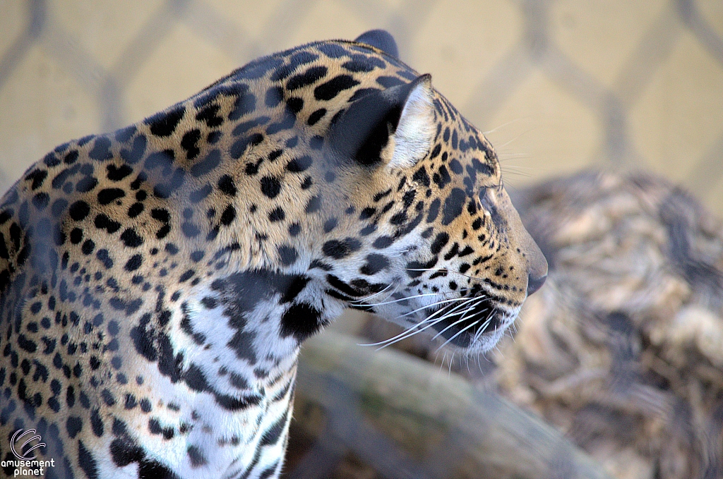 San Diego Zoo