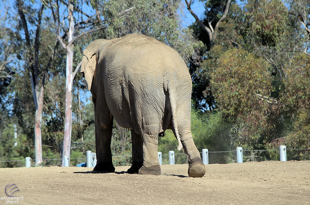 San Diego Zoo