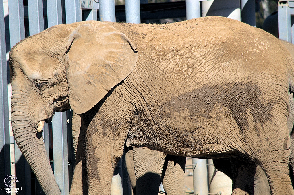 San Diego Zoo