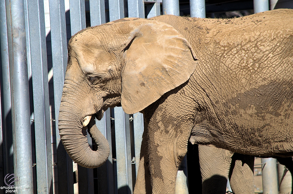 San Diego Zoo