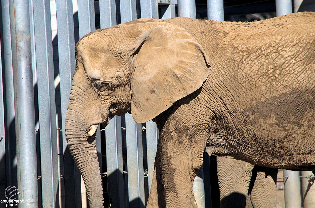 San Diego Zoo