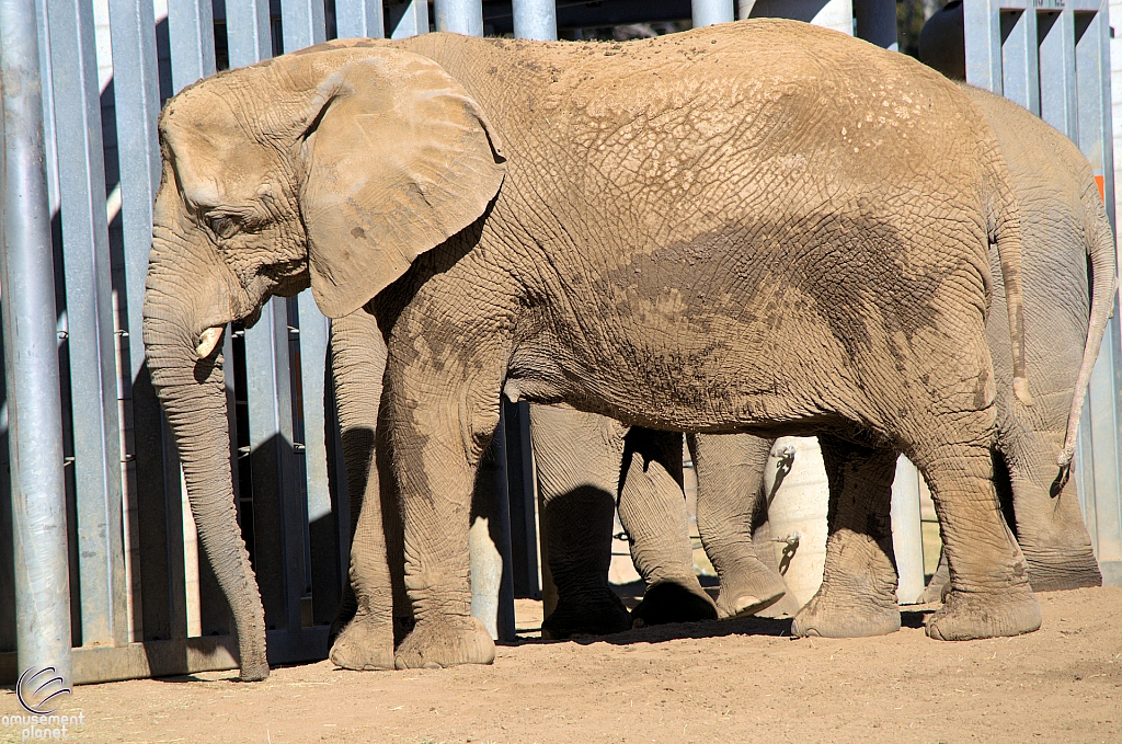 San Diego Zoo