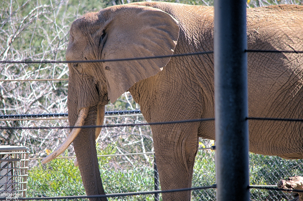 San Diego Zoo