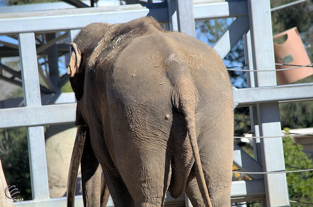 San Diego Zoo