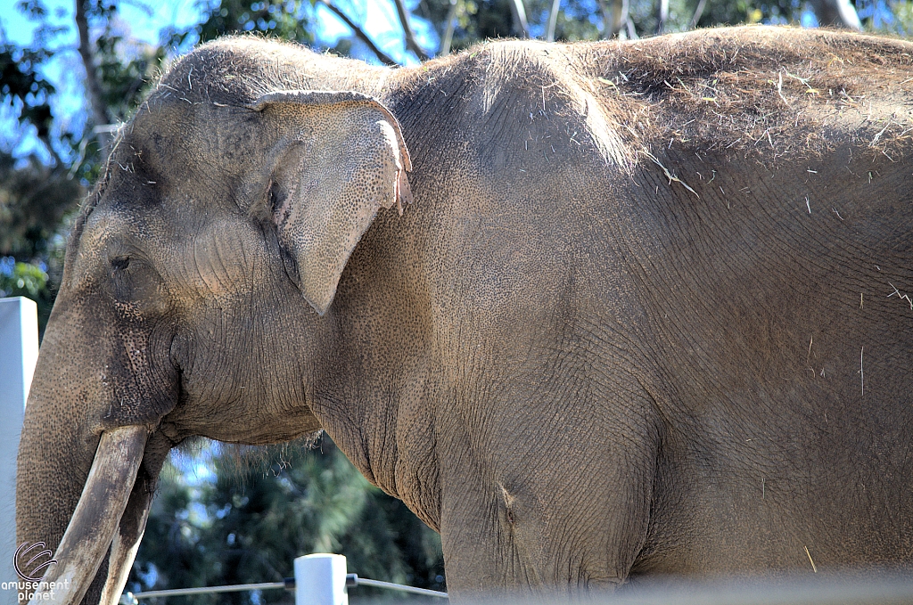 San Diego Zoo