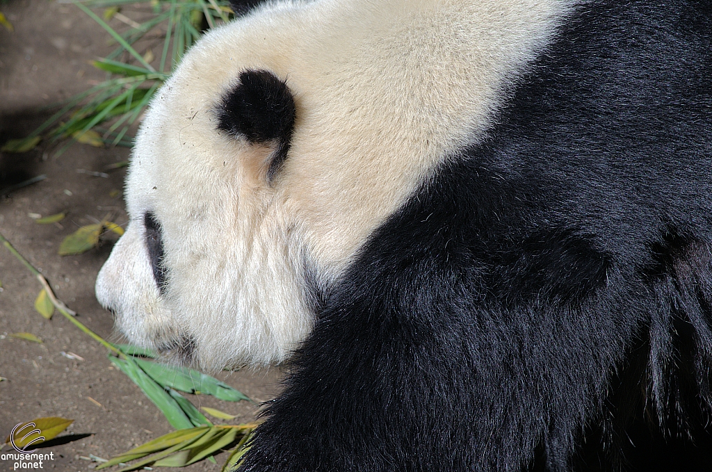 San Diego Zoo