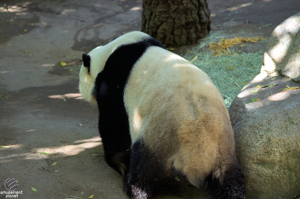 San Diego Zoo