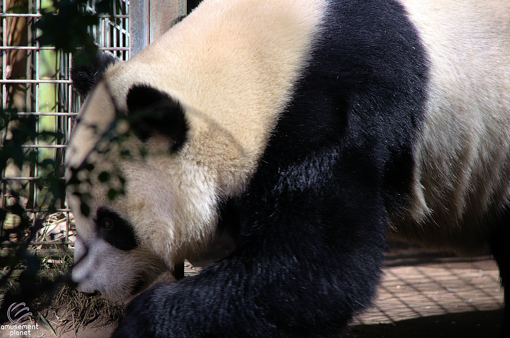 San Diego Zoo