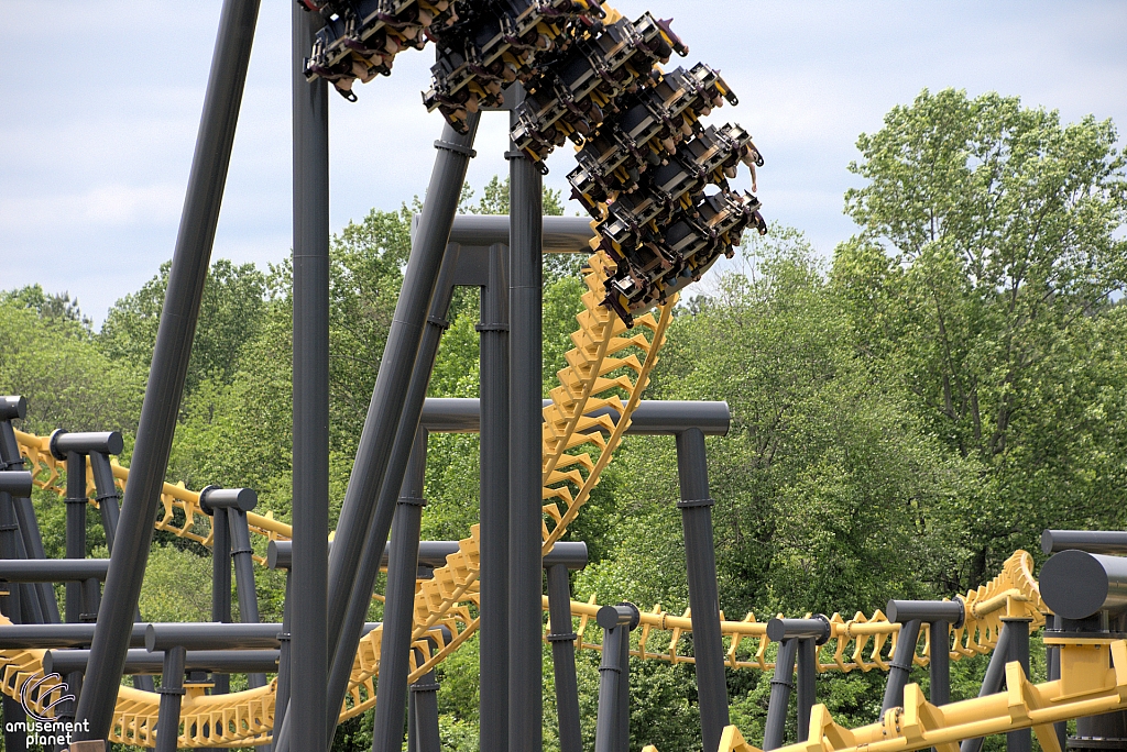 Batwing