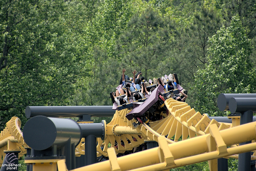Batwing