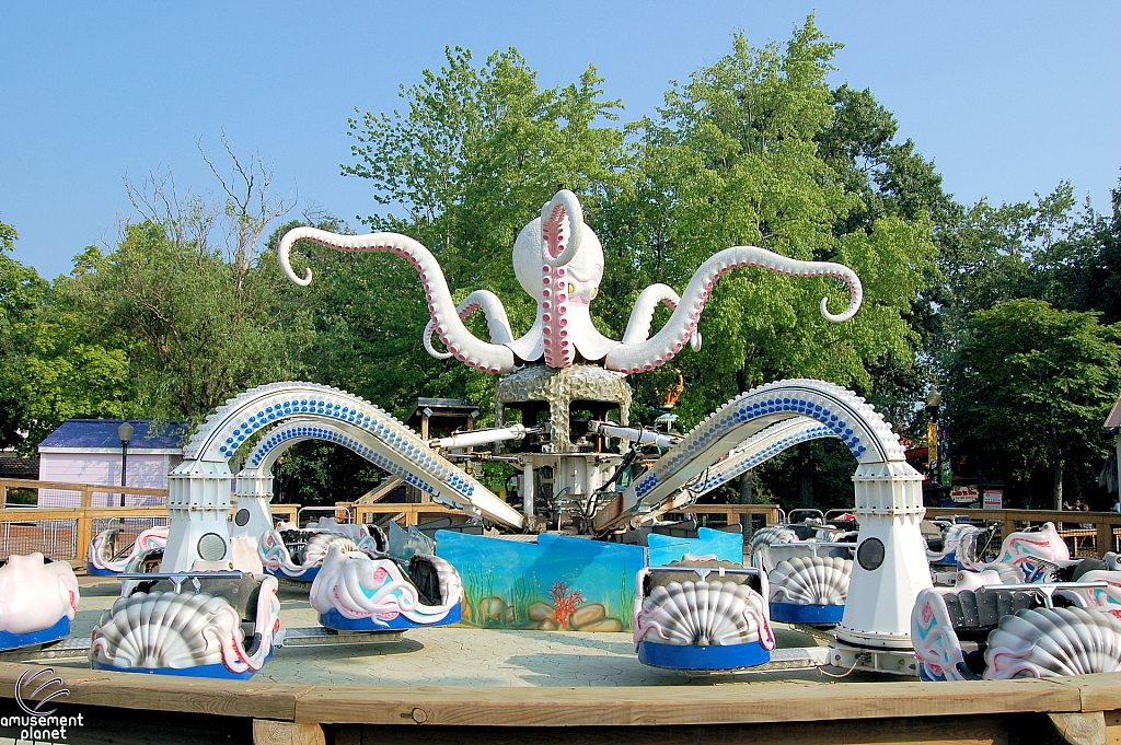 Octopus