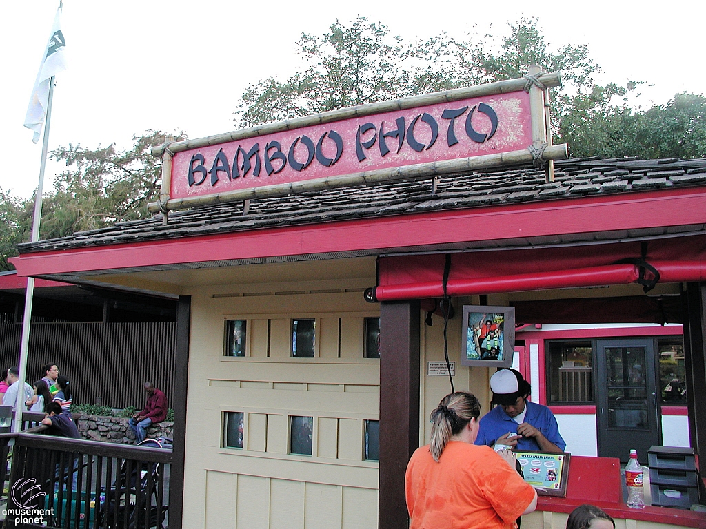 Bamboo Shoot
