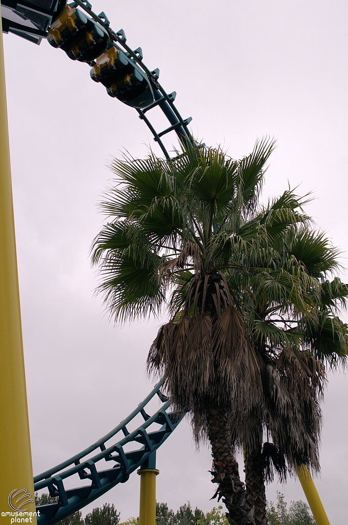 Boomerang: Coast to Coaster