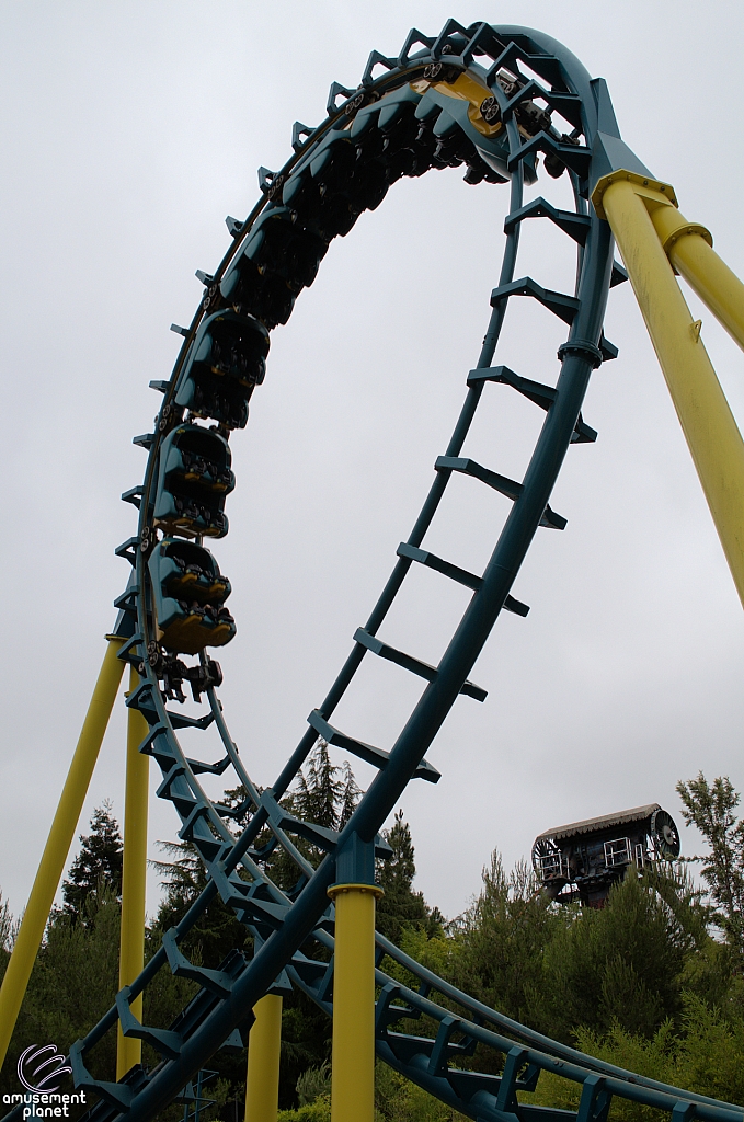 Boomerang: Coast to Coaster