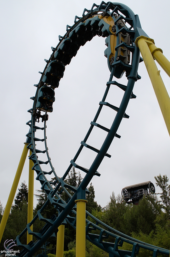 Boomerang: Coast to Coaster