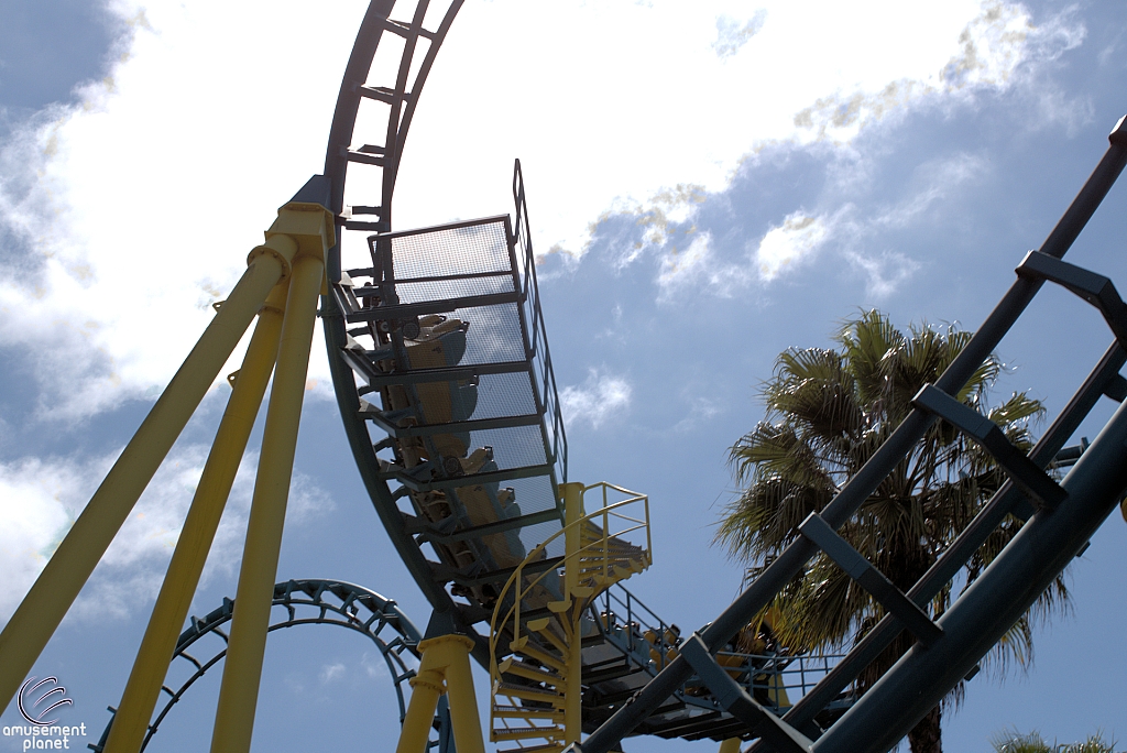 Boomerang: Coast to Coaster