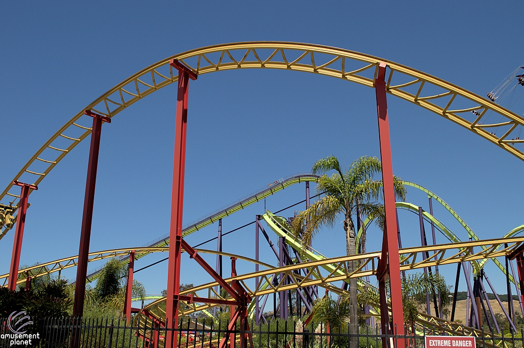 Cobra