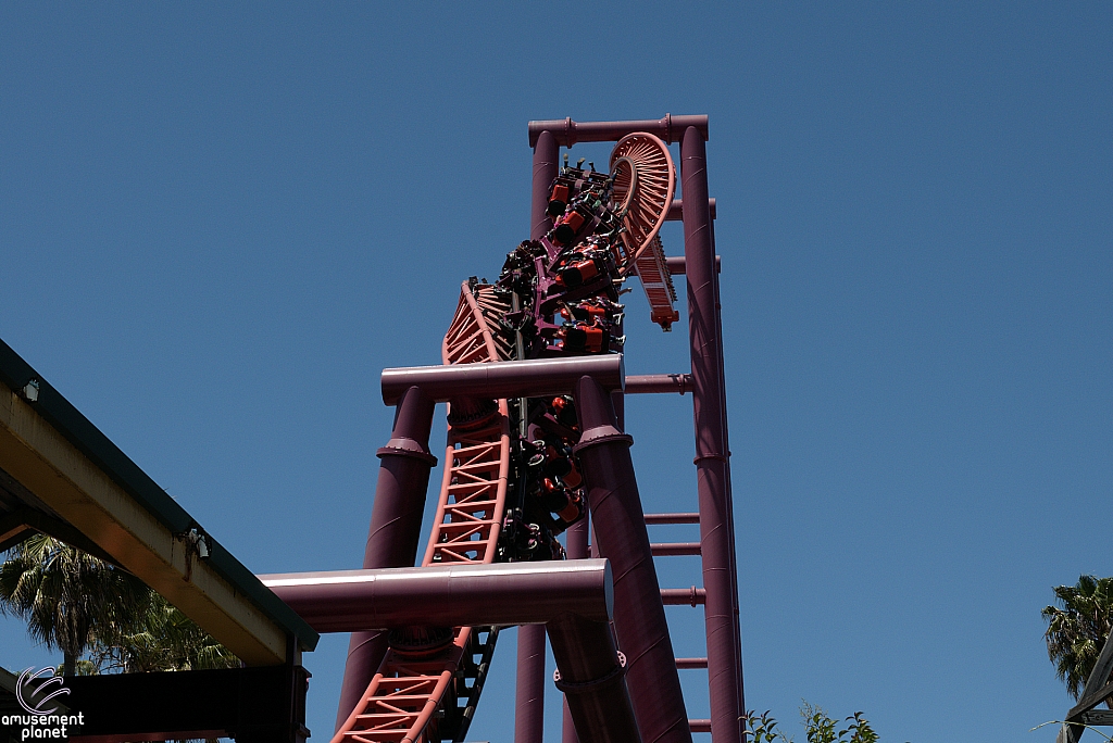 Flash: Vertical Velocity