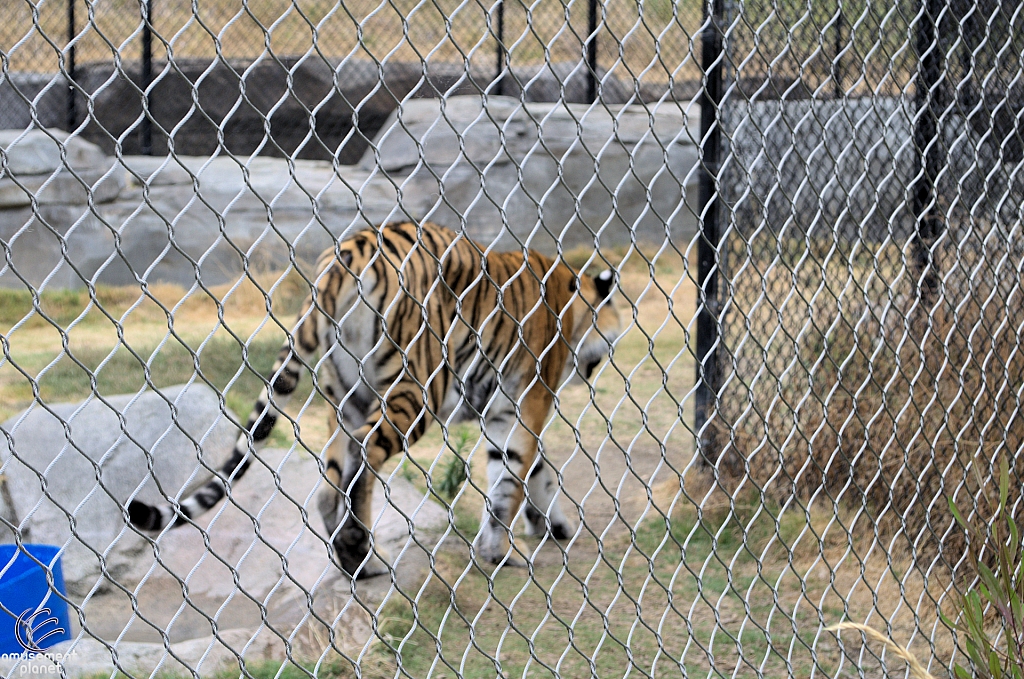 Six Flags Discovery Kingdom