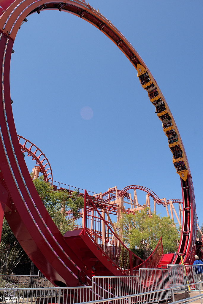 Dare Devil Chaos Coaster