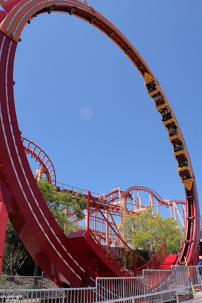 Dare Devil Chaos Coaster