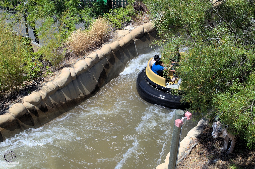 White Water Safari