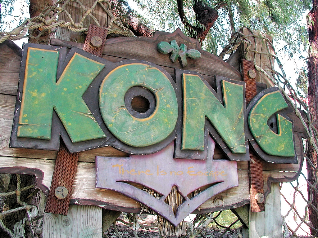 Kong