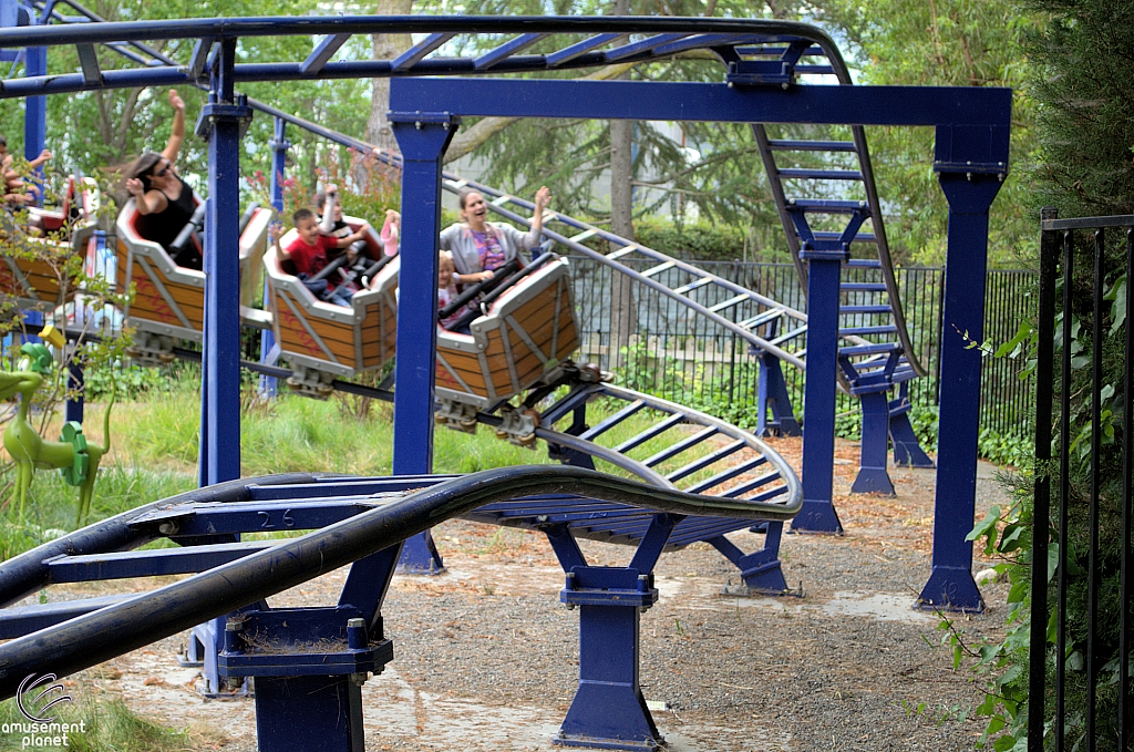 Roadrunner Express