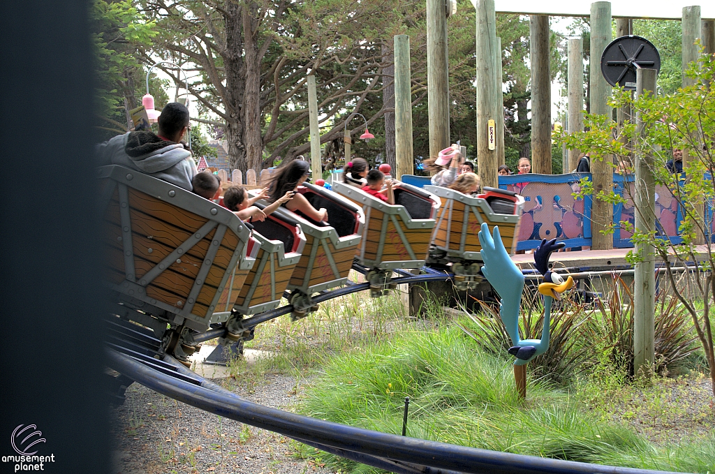 Roadrunner Express