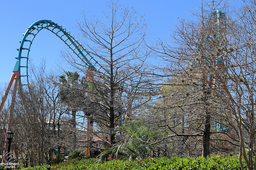 Boomerang