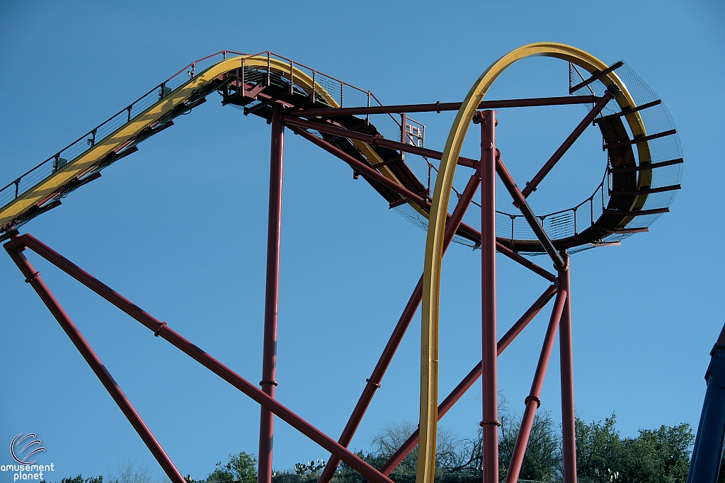 Wonder Woman Golden Lasso Coaster