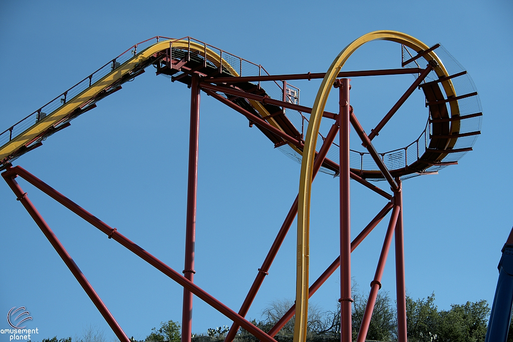 Wonder Woman Golden Lasso Coaster
