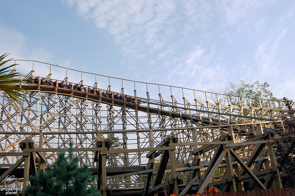 El Toro