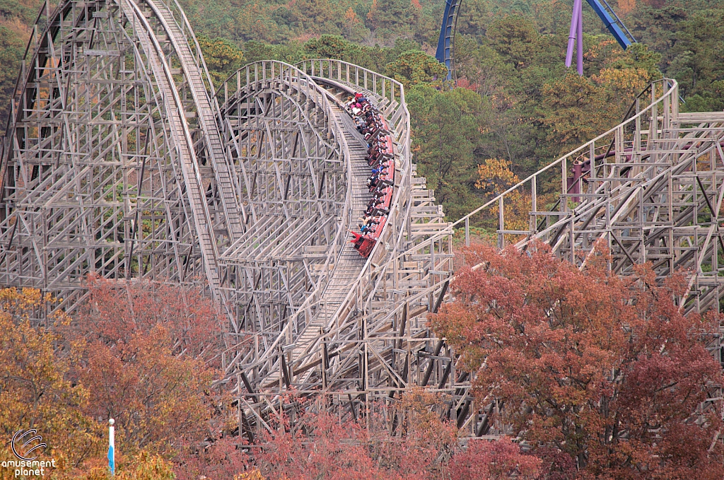 El Toro