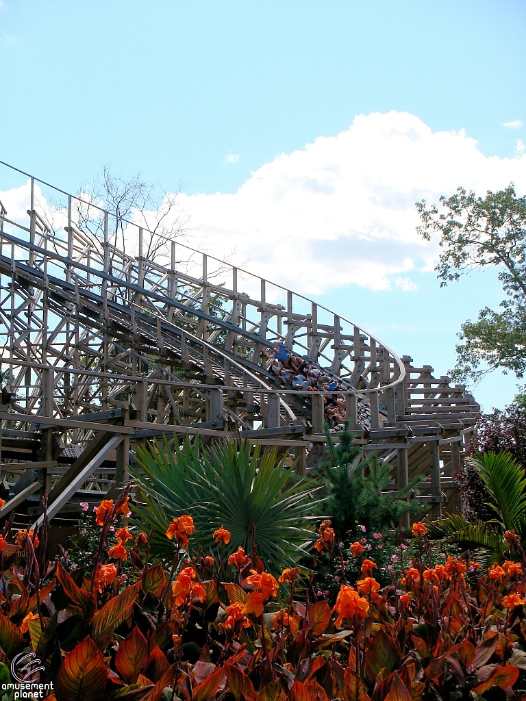 El Toro