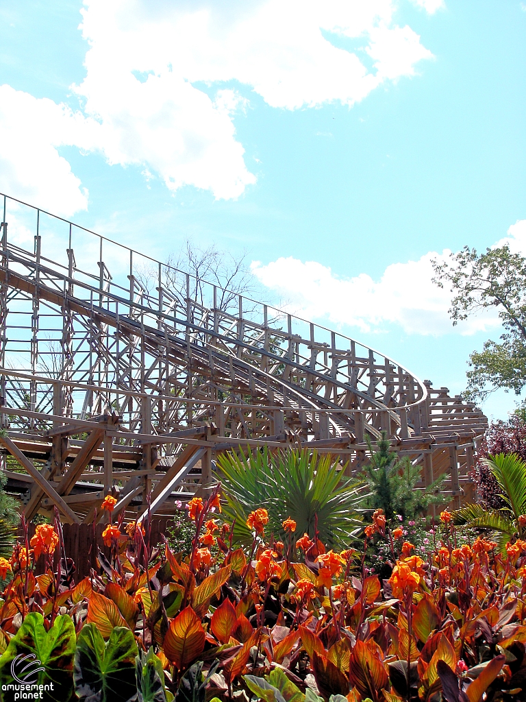 El Toro