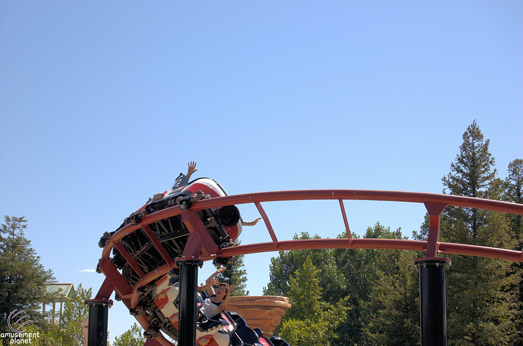 Road Runner Express