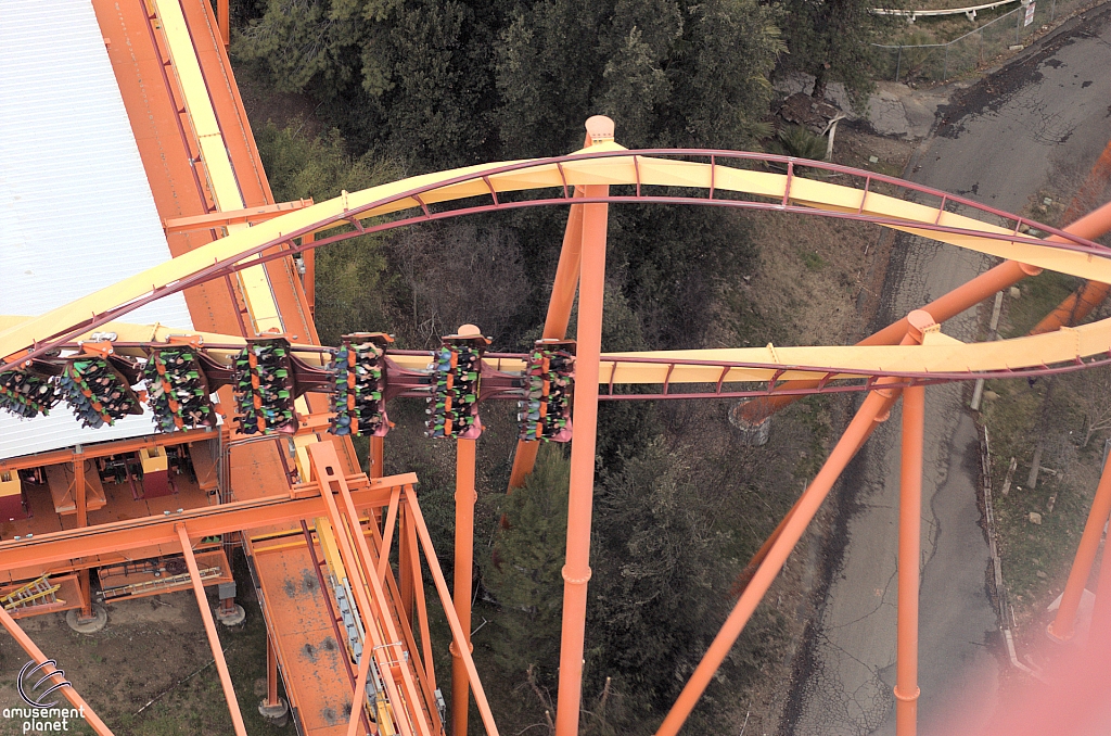 Tatsu