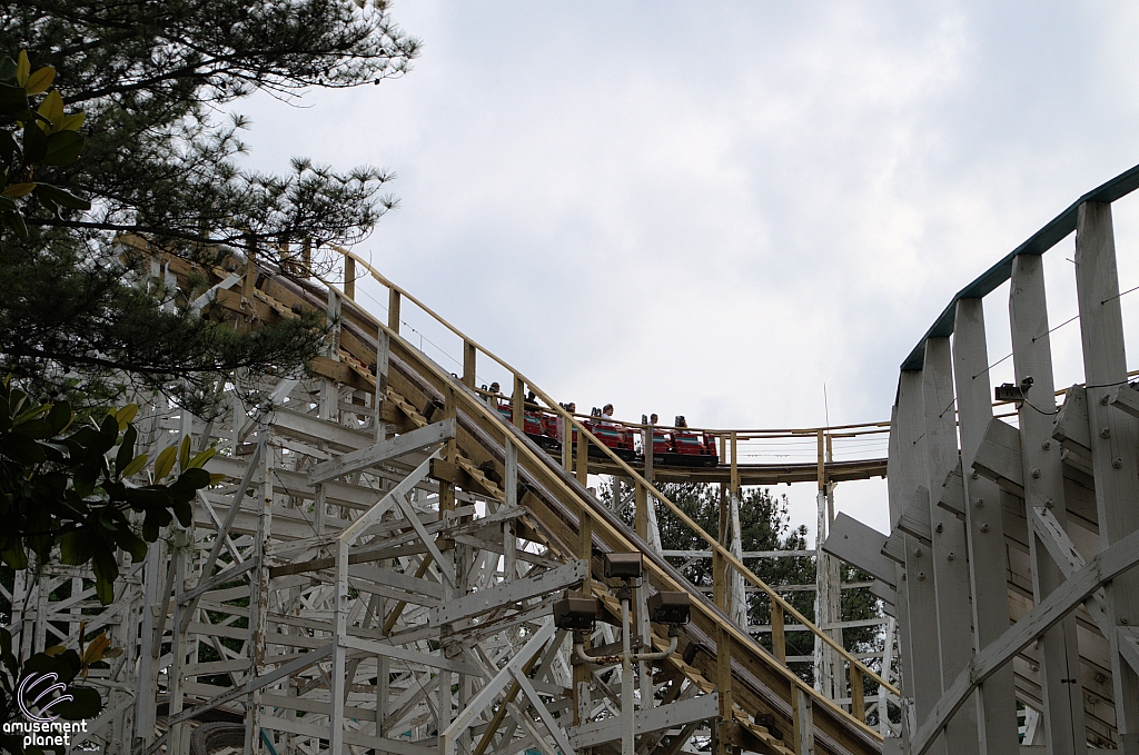 Georgia Cyclone