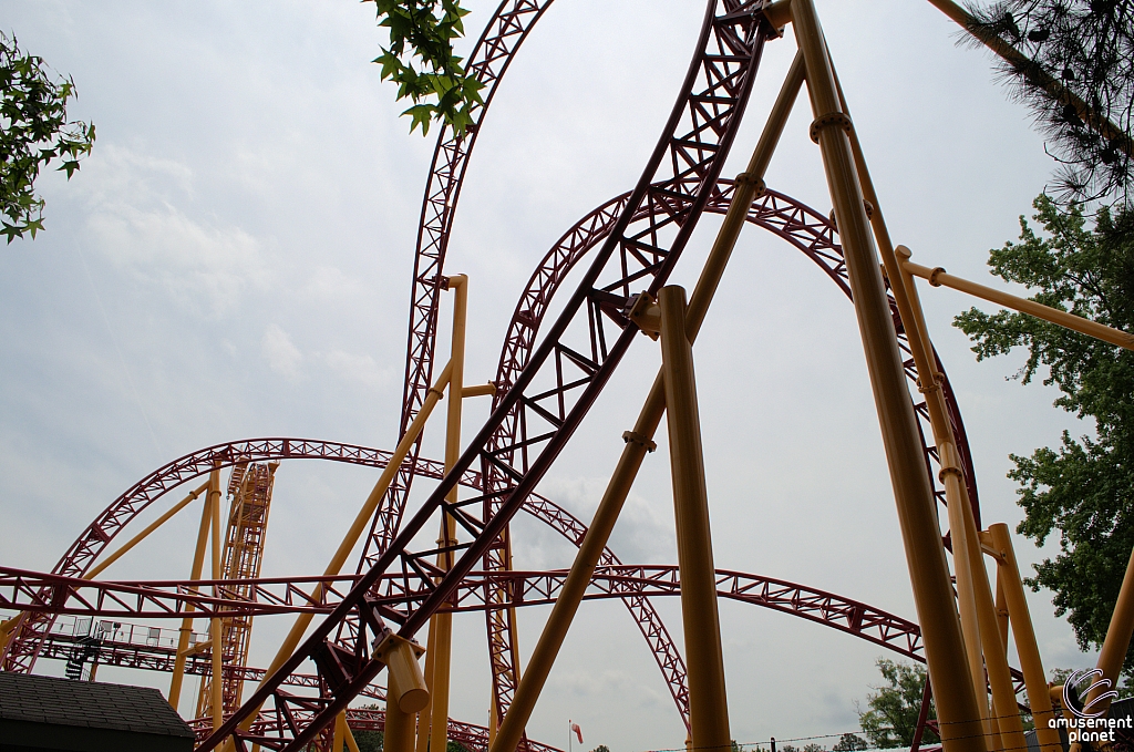 Dare Devil Dive
