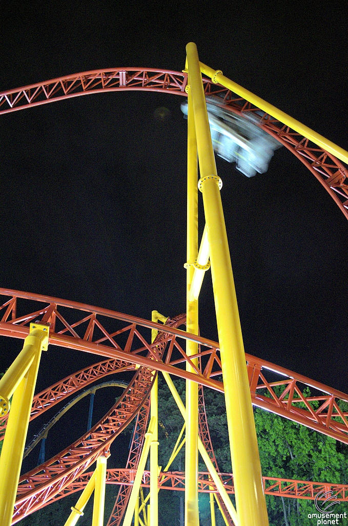 Dare Devil Dive