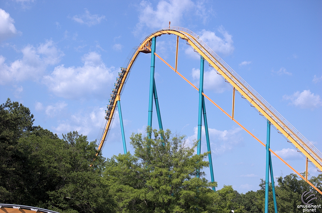 Goliath