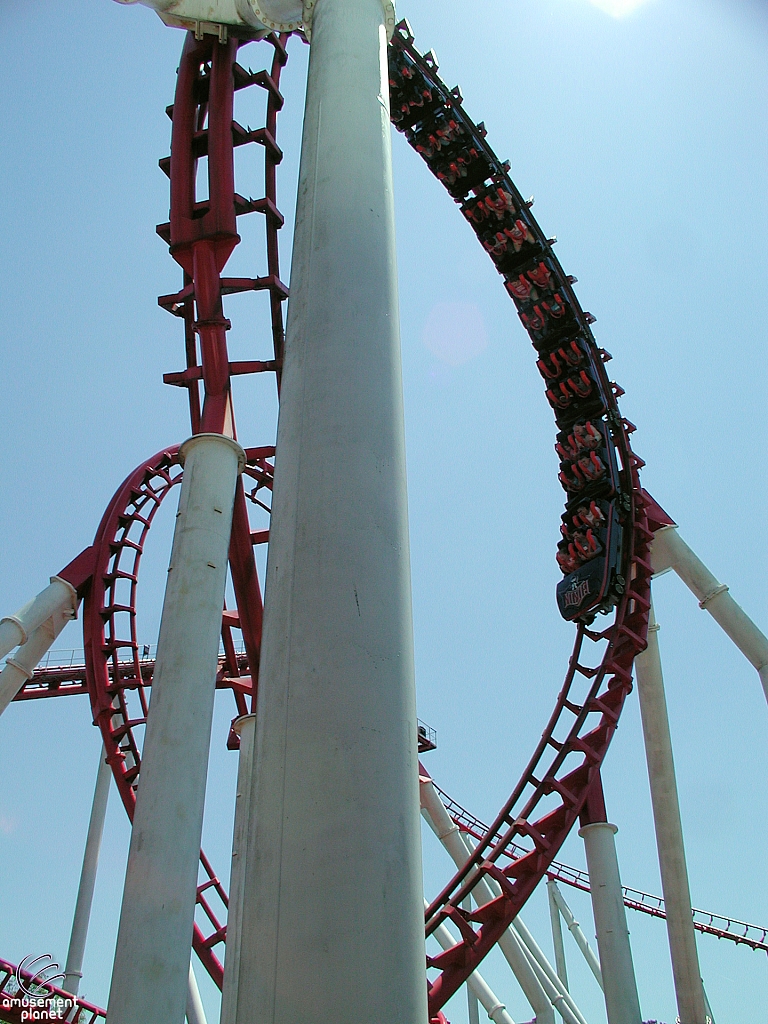 Blue Hawk