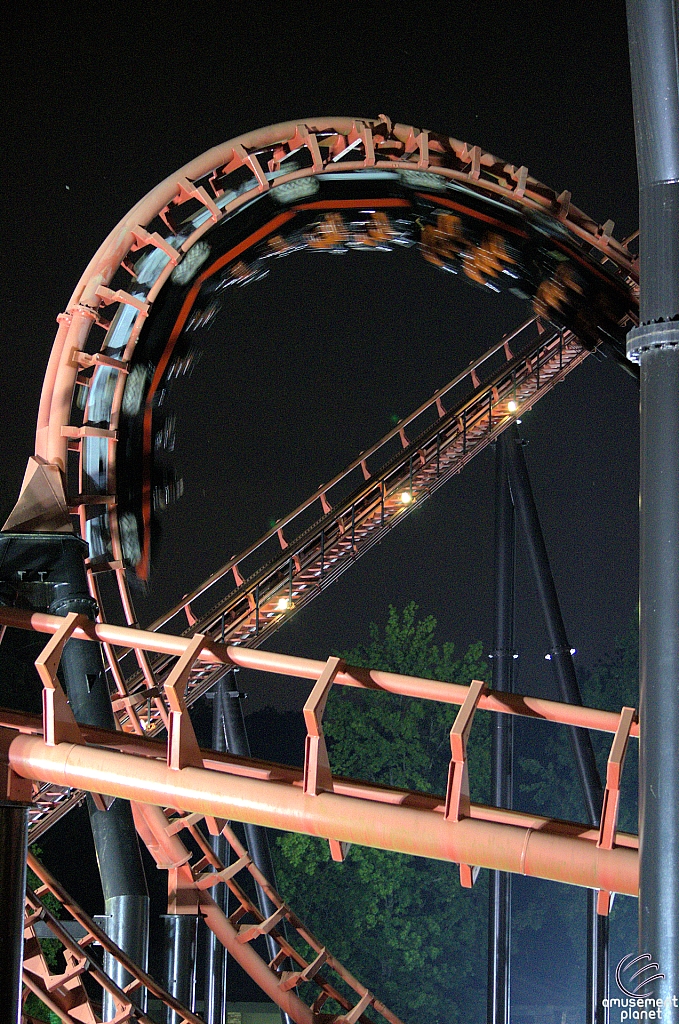 Blue Hawk