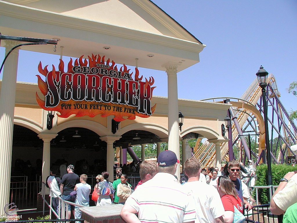 Georgia Scorcher